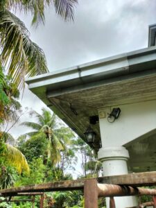 Read more about the article Windstorm Damage – Damansara Heights